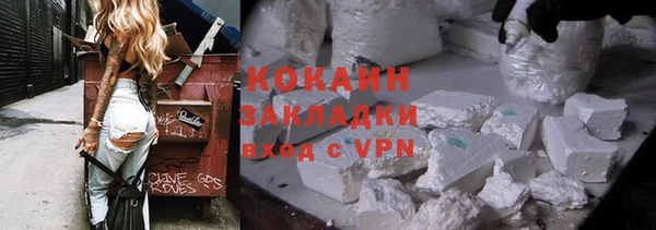 шишки Михайловск