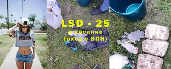 ГАЛЛЮЦИНОГЕННЫЕ ГРИБЫ Ахтубинск