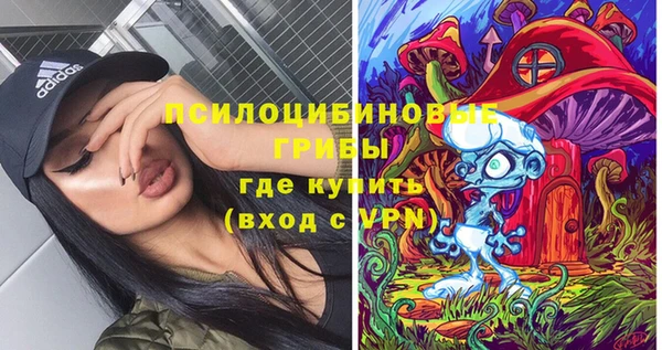 шишки Михайловск