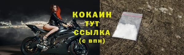 шишки Михайловск