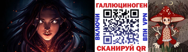 Галлюциногенные грибы Psilocybine cubensis  Нахабино 