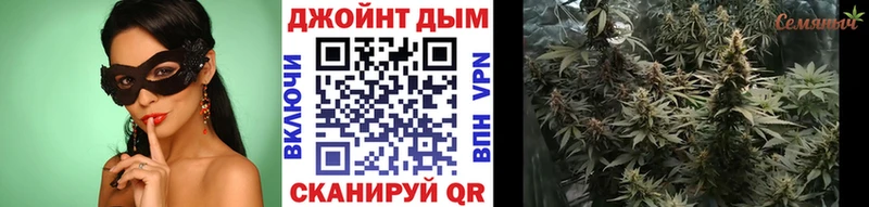 цена наркотик  Нахабино  Бошки марихуана THC 21% 